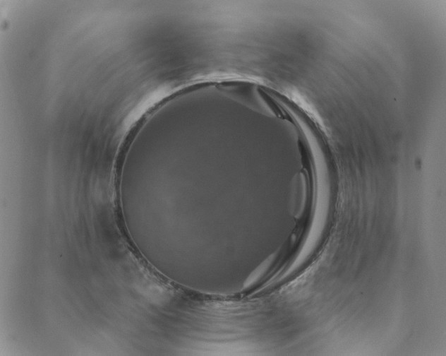 X0000089701173200706211310