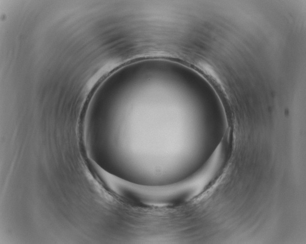 X0000089701181200706211310