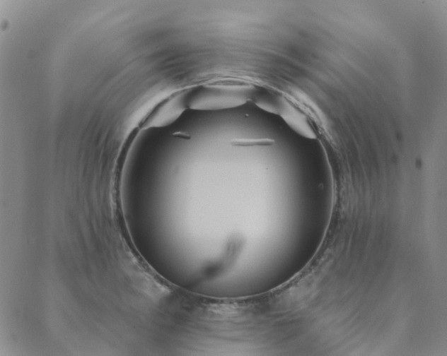 X0000089701182200706211310