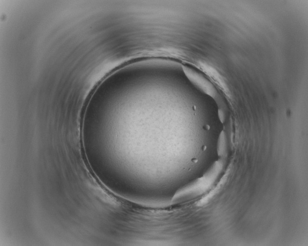 X0000089701184200706211310