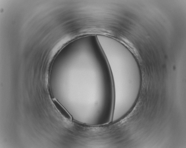 X0000089701188200706211310