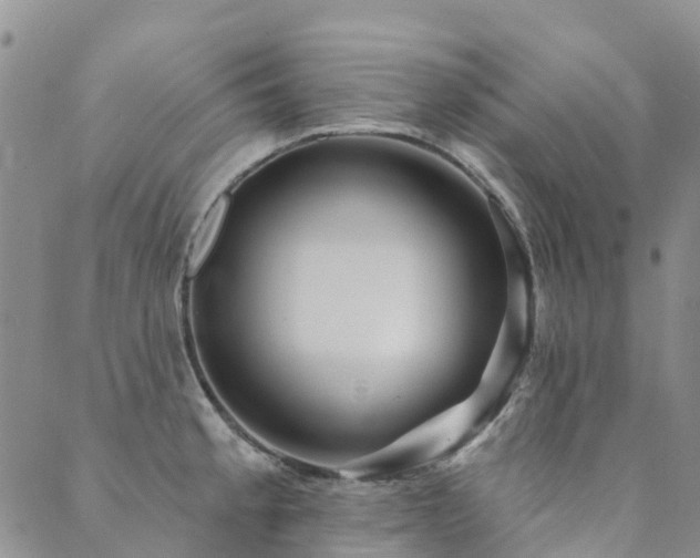 X0000089701189200706211310