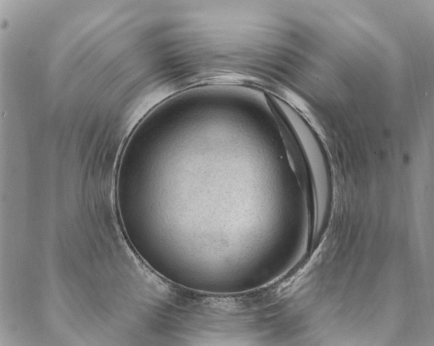 X0000089701194200706211310