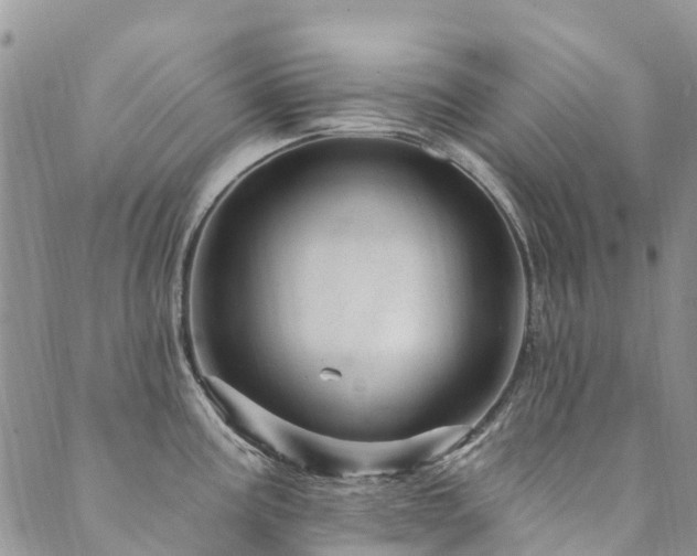 X0000089701195200706211310