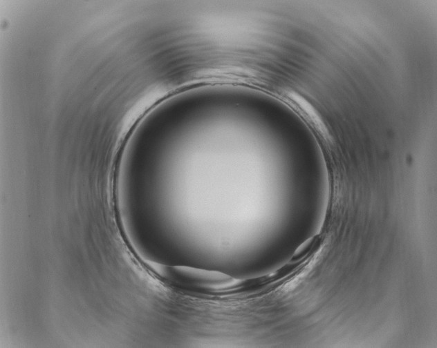 X0000089701196200706211310