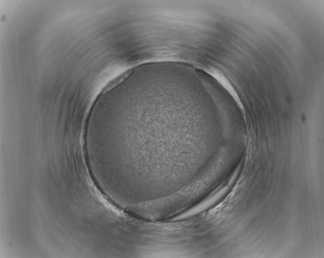 X0000089701197200706211310