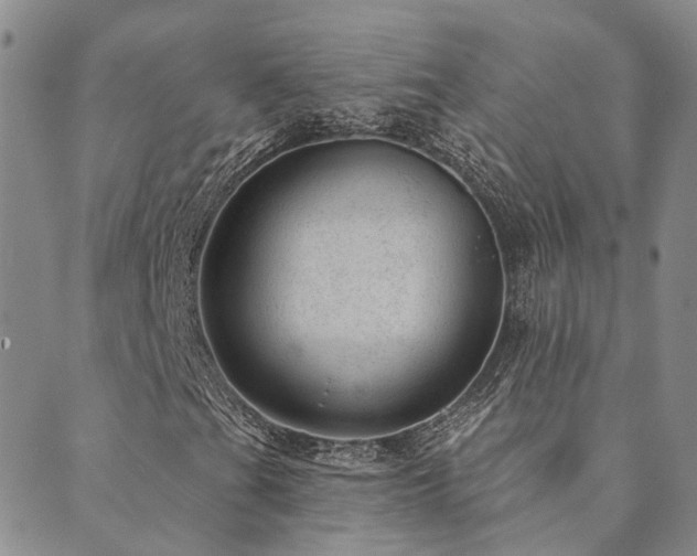 X0000089701201200706211309