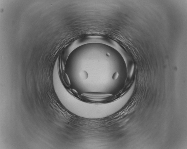 X0000089701202200706211309