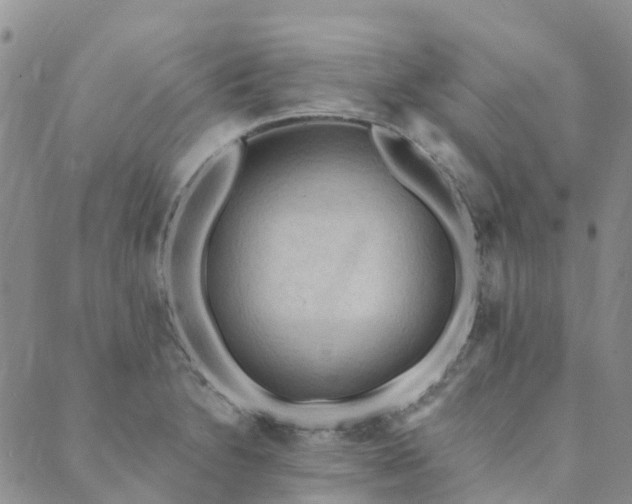 X0000089701230200706211310