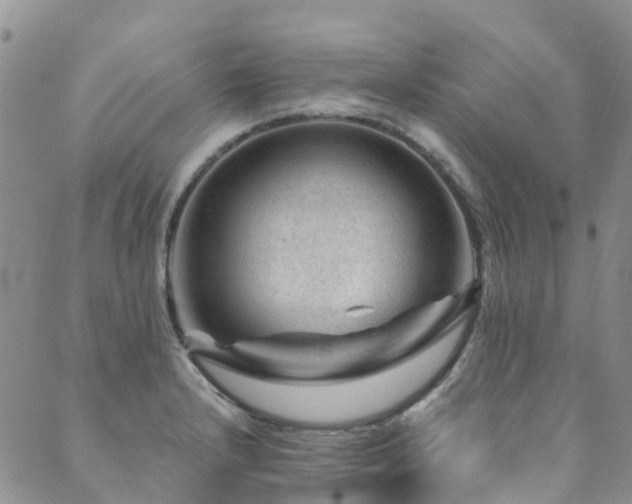 X0000089701232200706211310