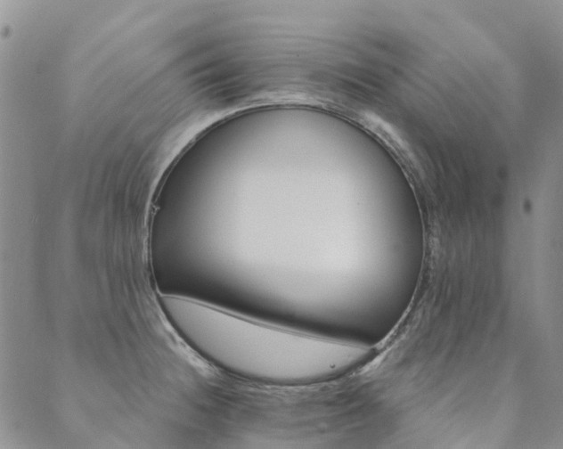 X0000089701236200706211310