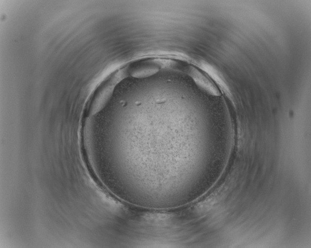 X0000089701237200706211310