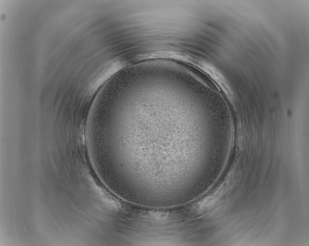 X0000089701241200706211310