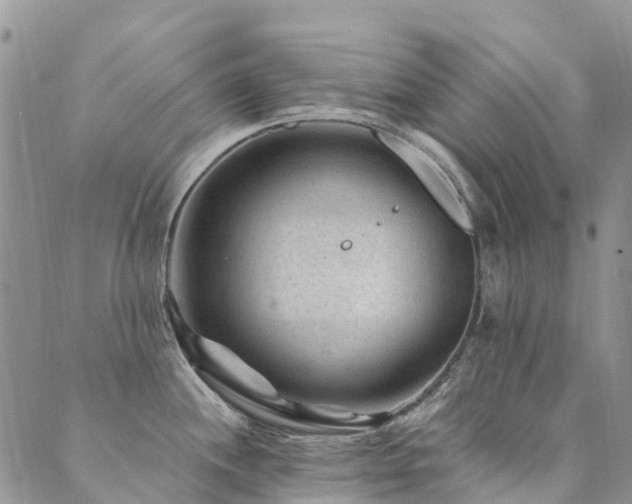 X0000089701244200706211310