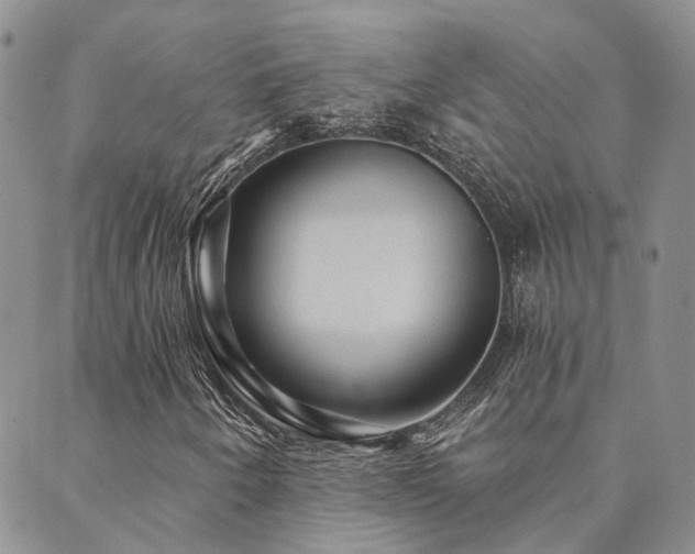 X0000089701250200706211309