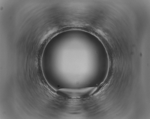 X0000089701307200706211308