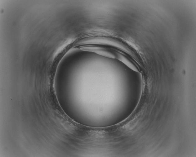 X0000089701309200706211308