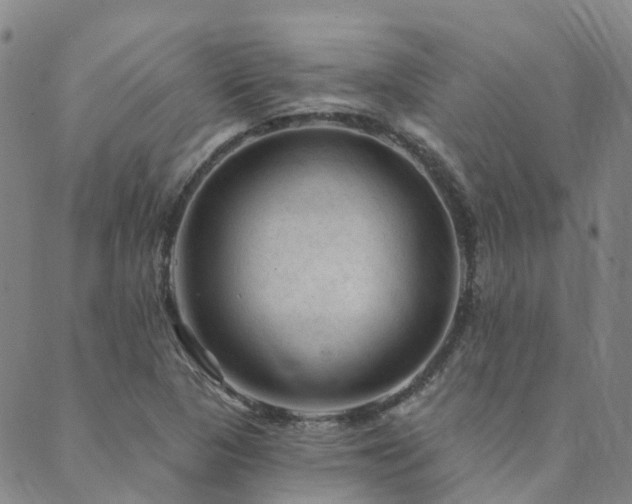 X0000089701313200706211308