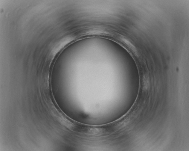 X0000089701322200706211308