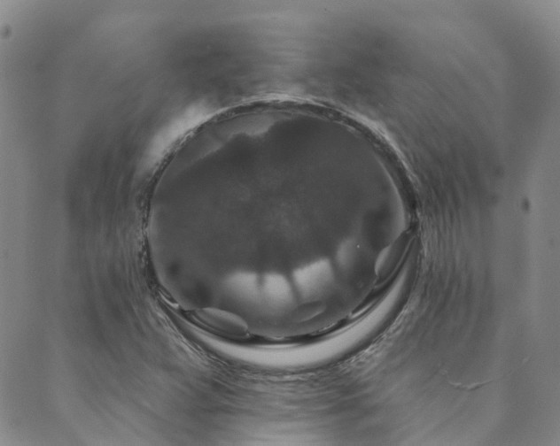 X0000089701359200706211307