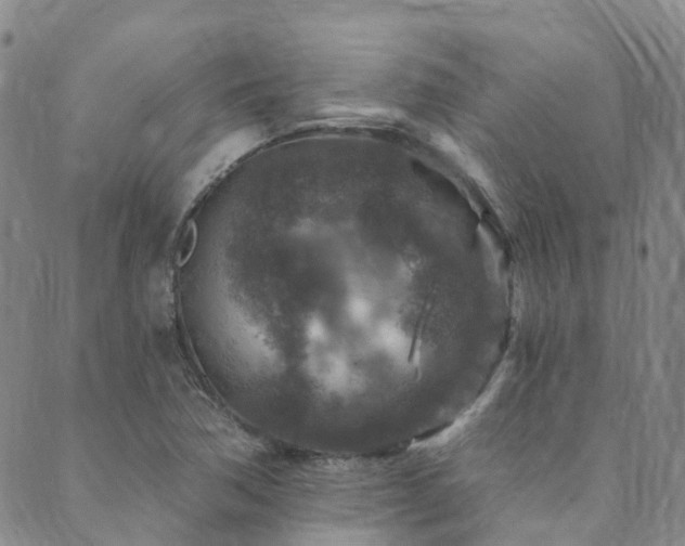 X0000089701362200706211307