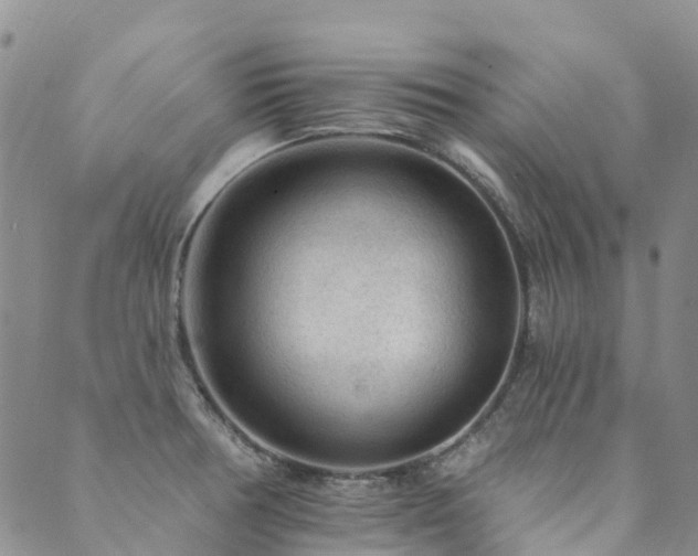 X0000089701378200706211307
