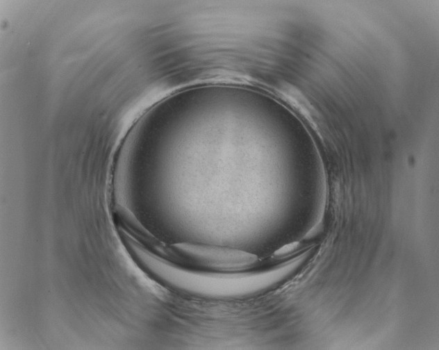 X0000089701379200706211307