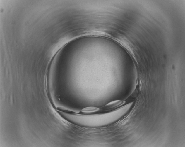 X0000089701391200706211307
