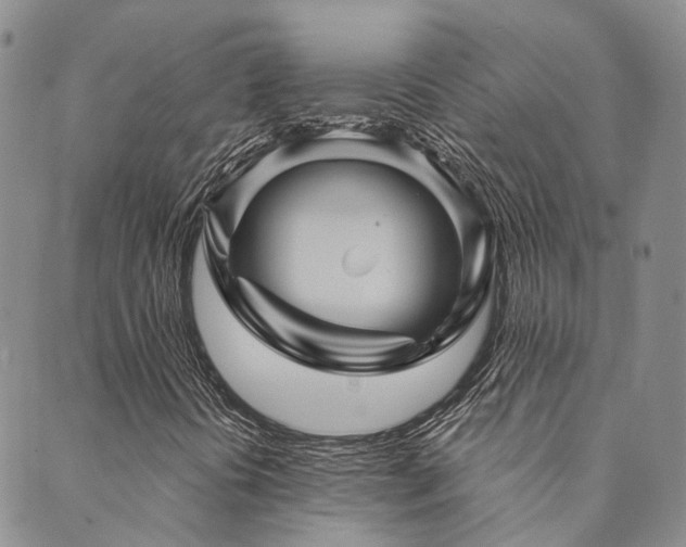 X0000089701394200706211306