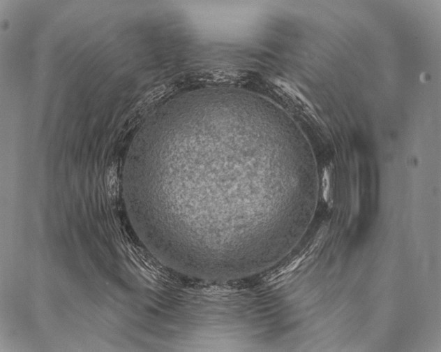 X0000089701395200706211306