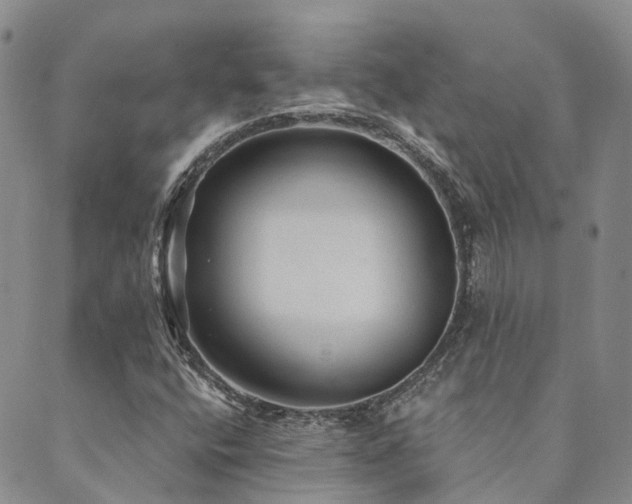 X0000089701400200706211306