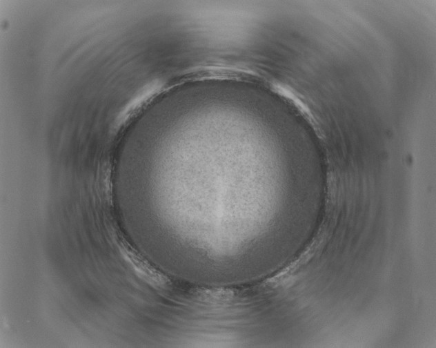 X0000089701403200706211306