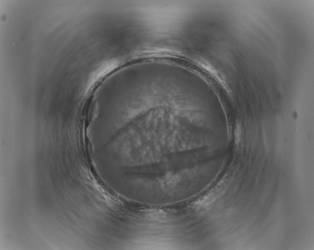 X0000089701405200706211306
