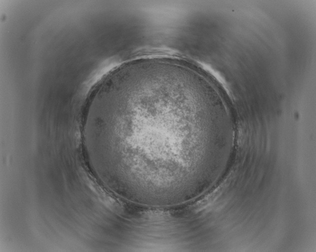 X0000089701407200706211306