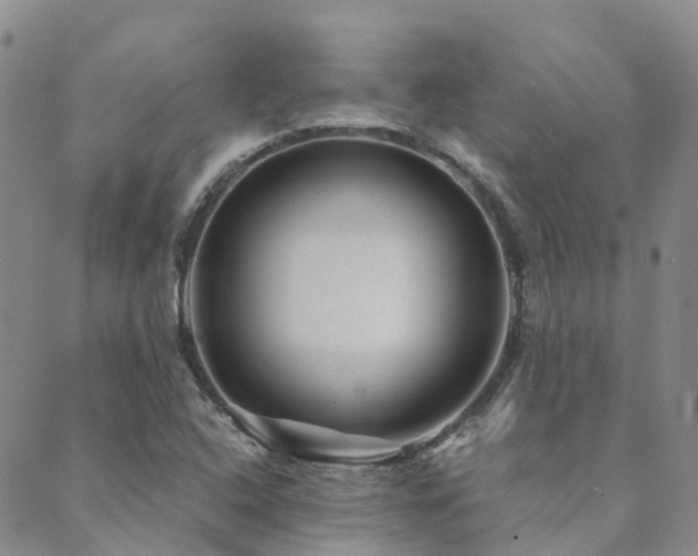 X0000089701408200706211306