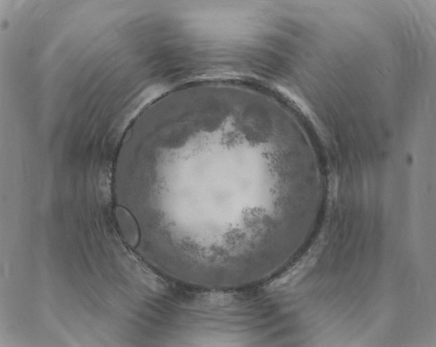 X0000089701409200706211306