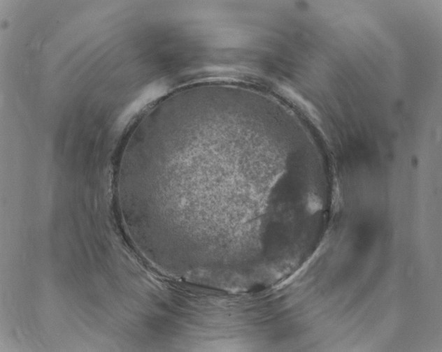 X0000089701411200706211306