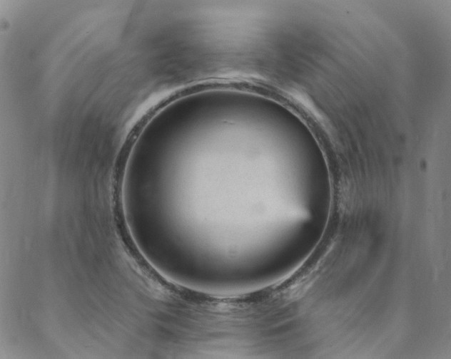 X0000089701412200706211306