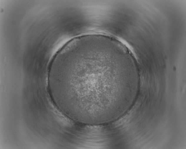 X0000089701415200706211306