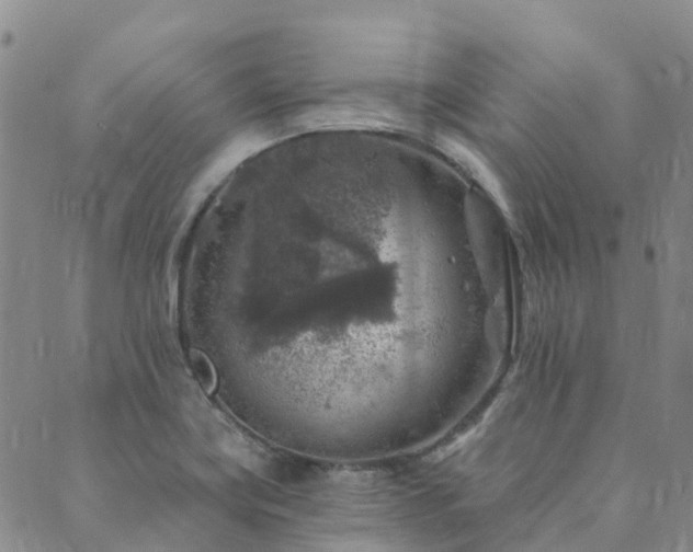 X0000089701419200706211306