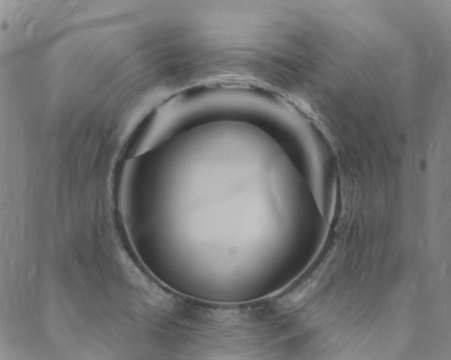X0000089701422200706211306