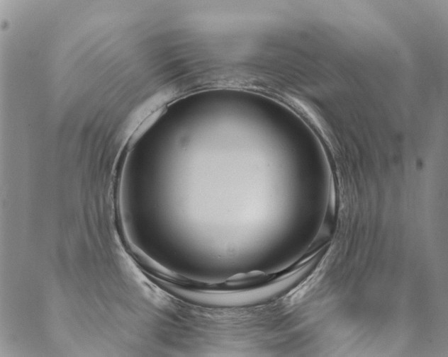 X0000089701434200706211307