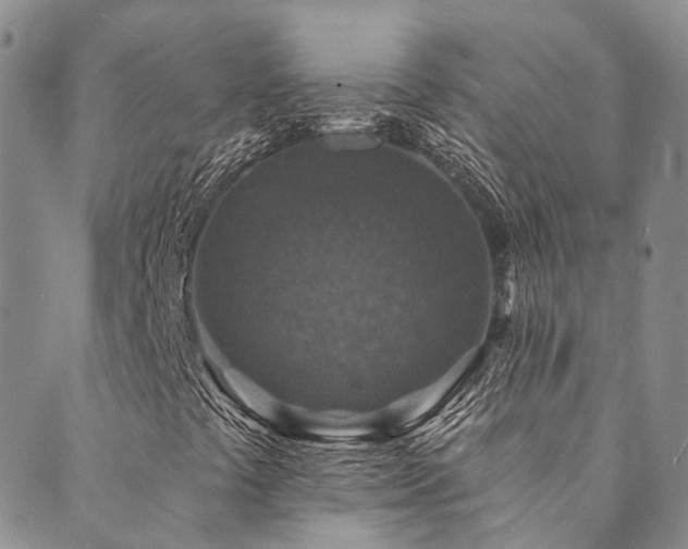 X0000089701441200706211306