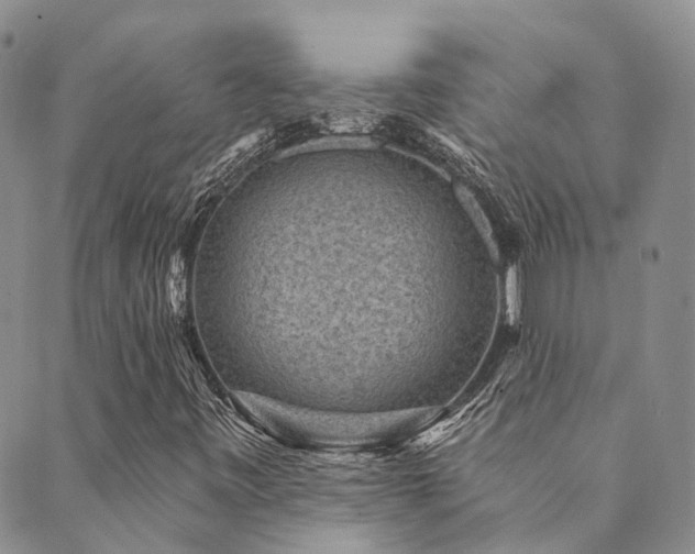 X0000089701443200706211306