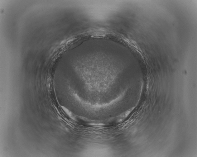 X0000089701445200706211306