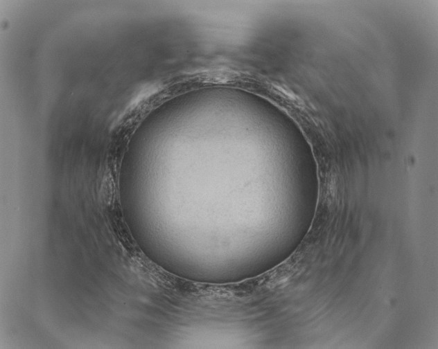 X0000089701446200706211306