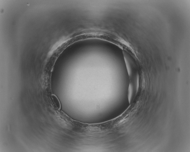 X0000089701448200706211306