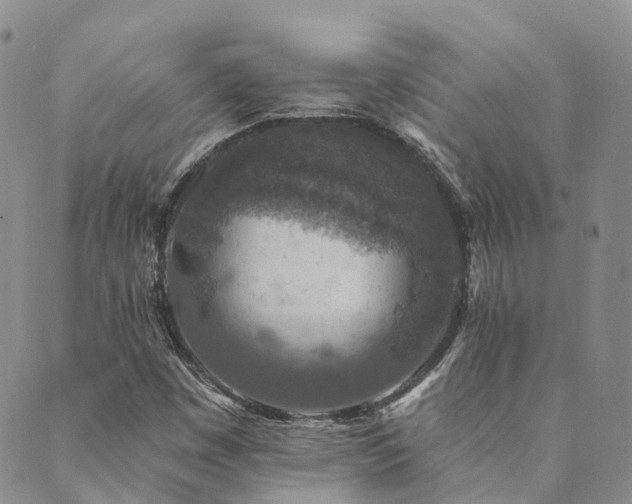 X0000089701449200706211306