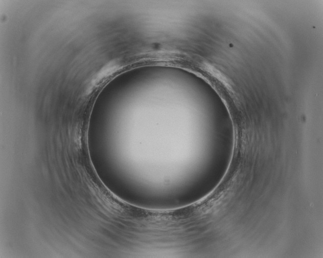 X0000089701451200706211306