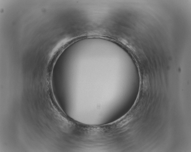 X0000089701454200706211306